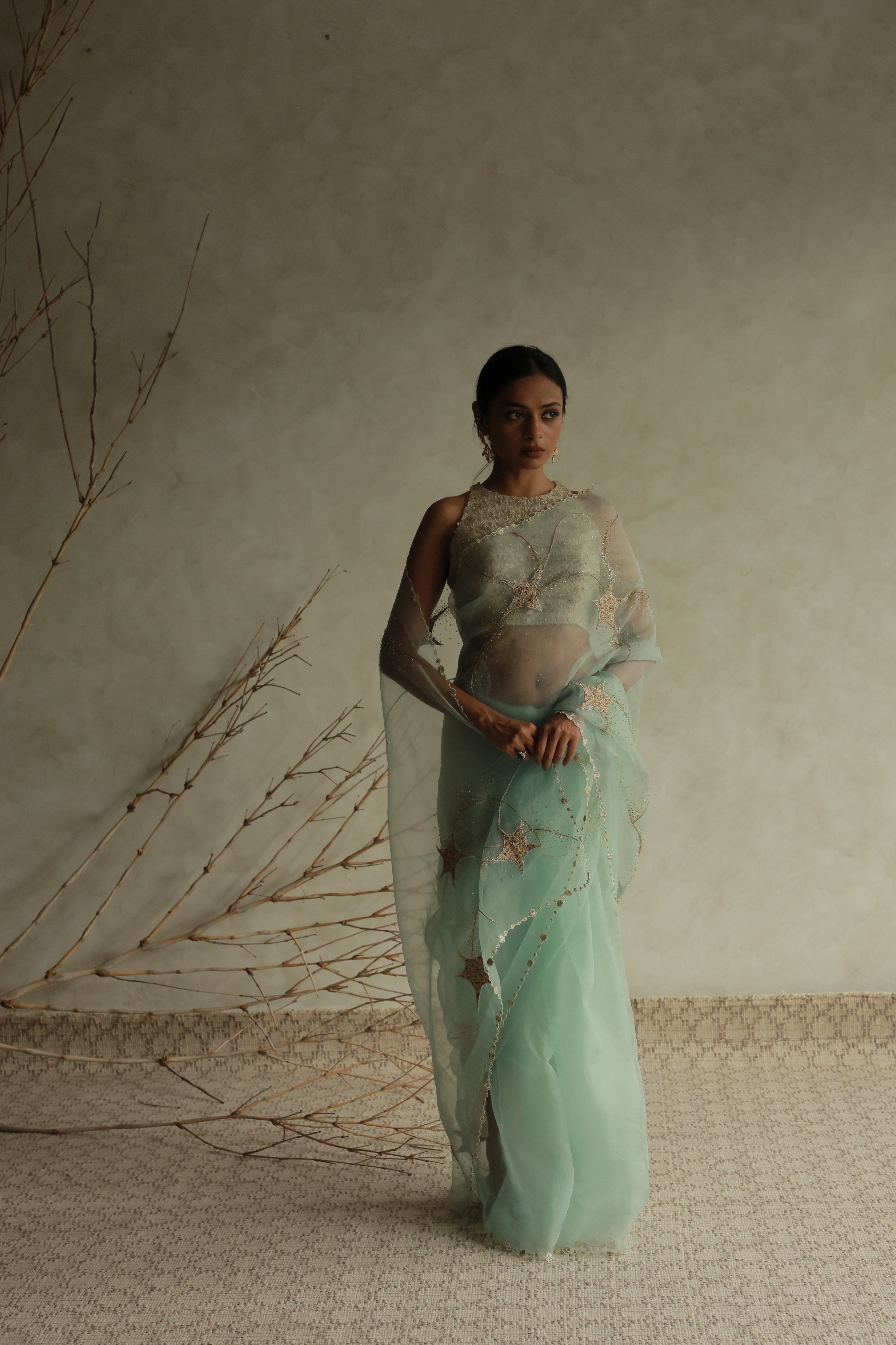 STARDUST SAREE