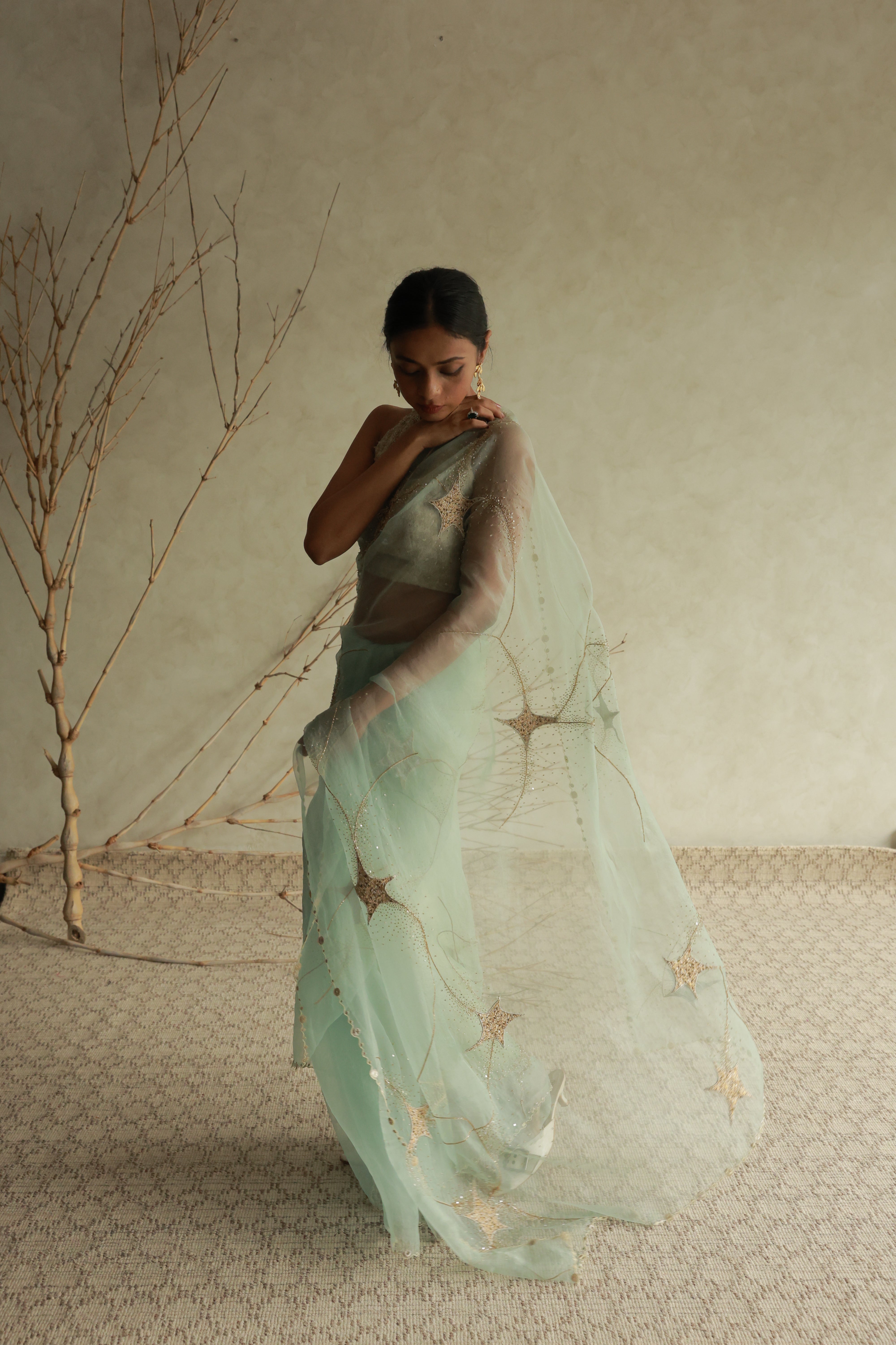 STARDUST SAREE
