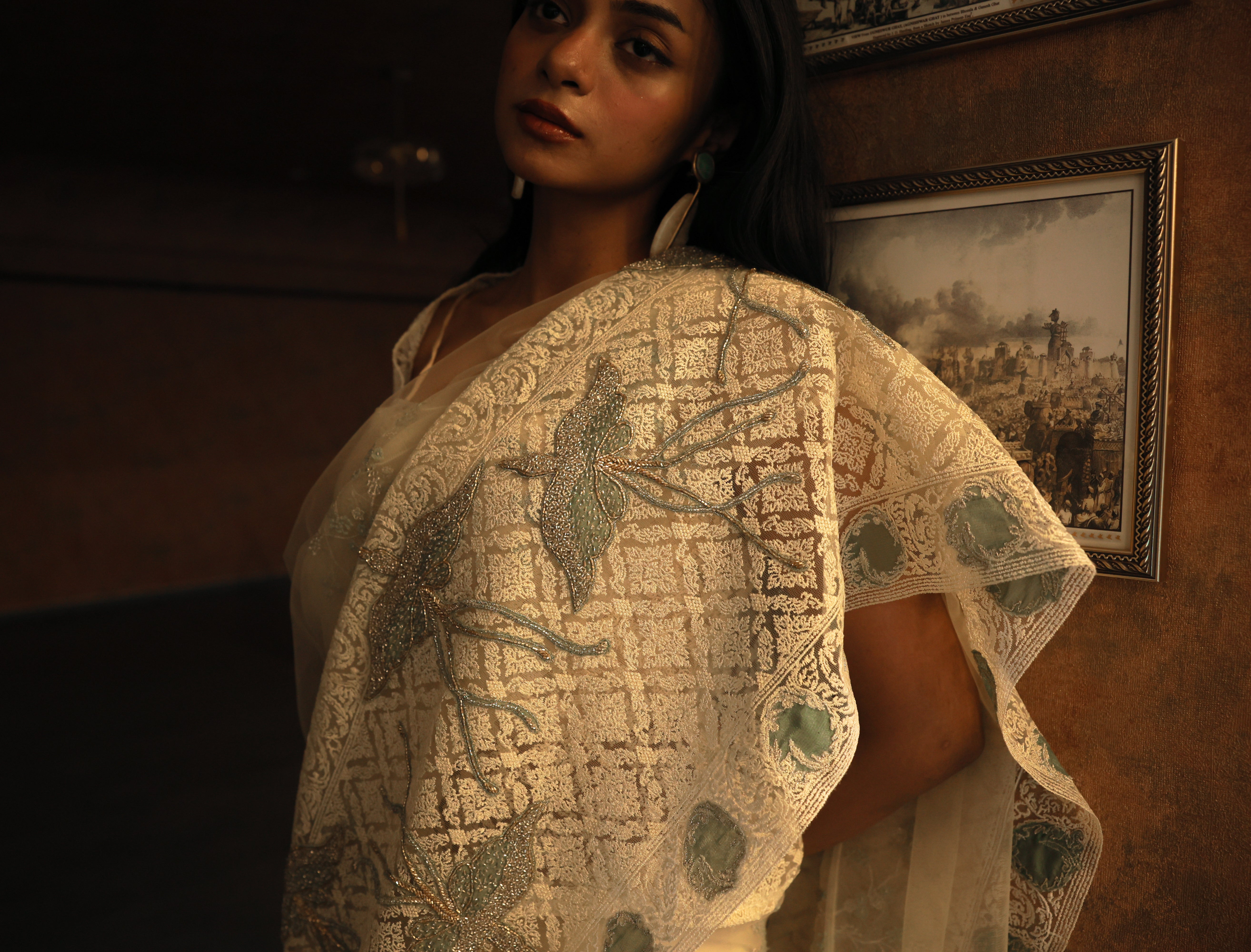 Bird Saree