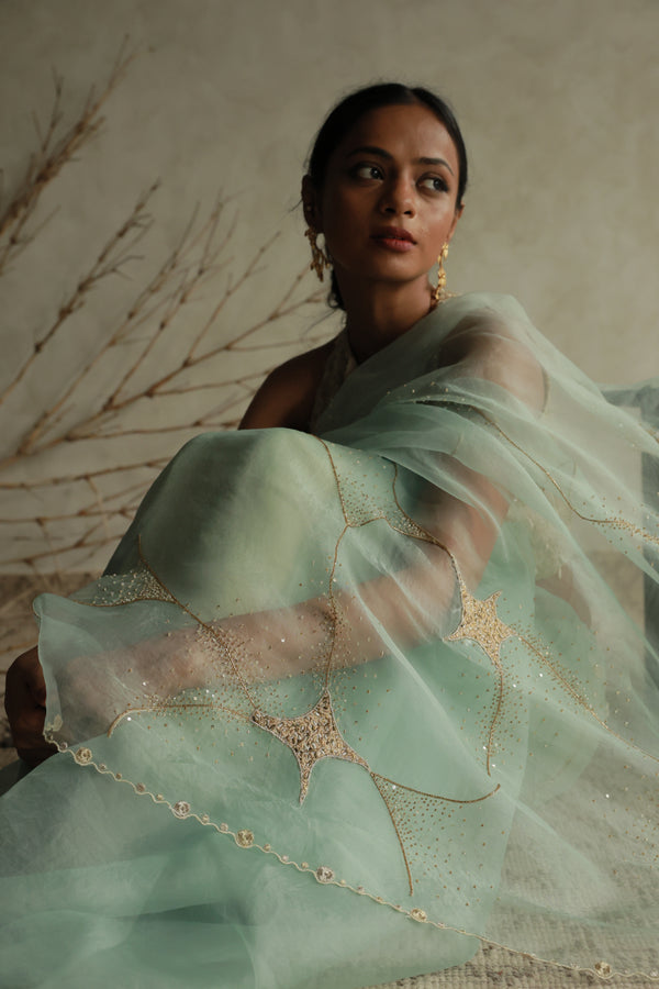 STARDUST SAREE