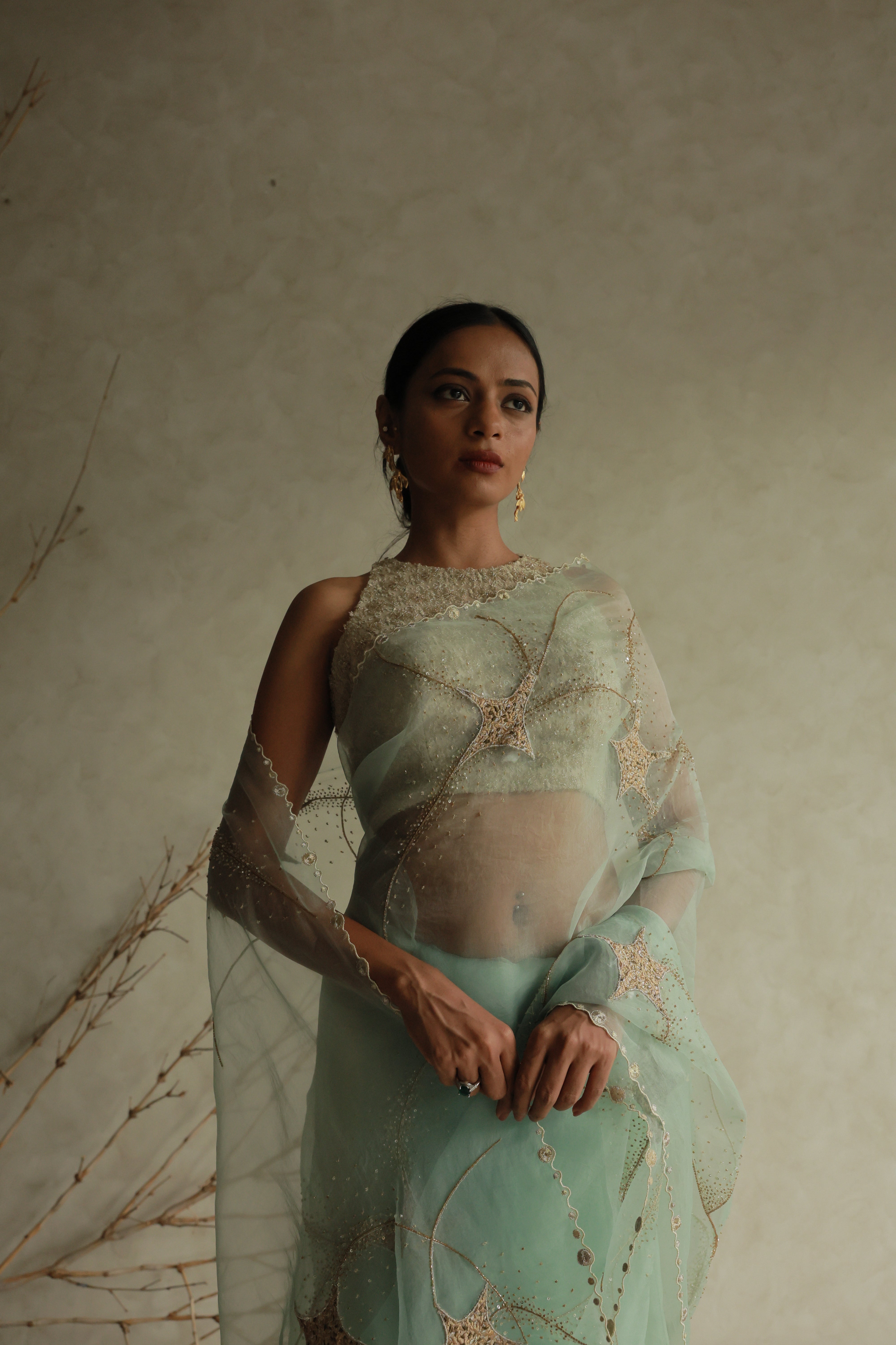 STARDUST SAREE
