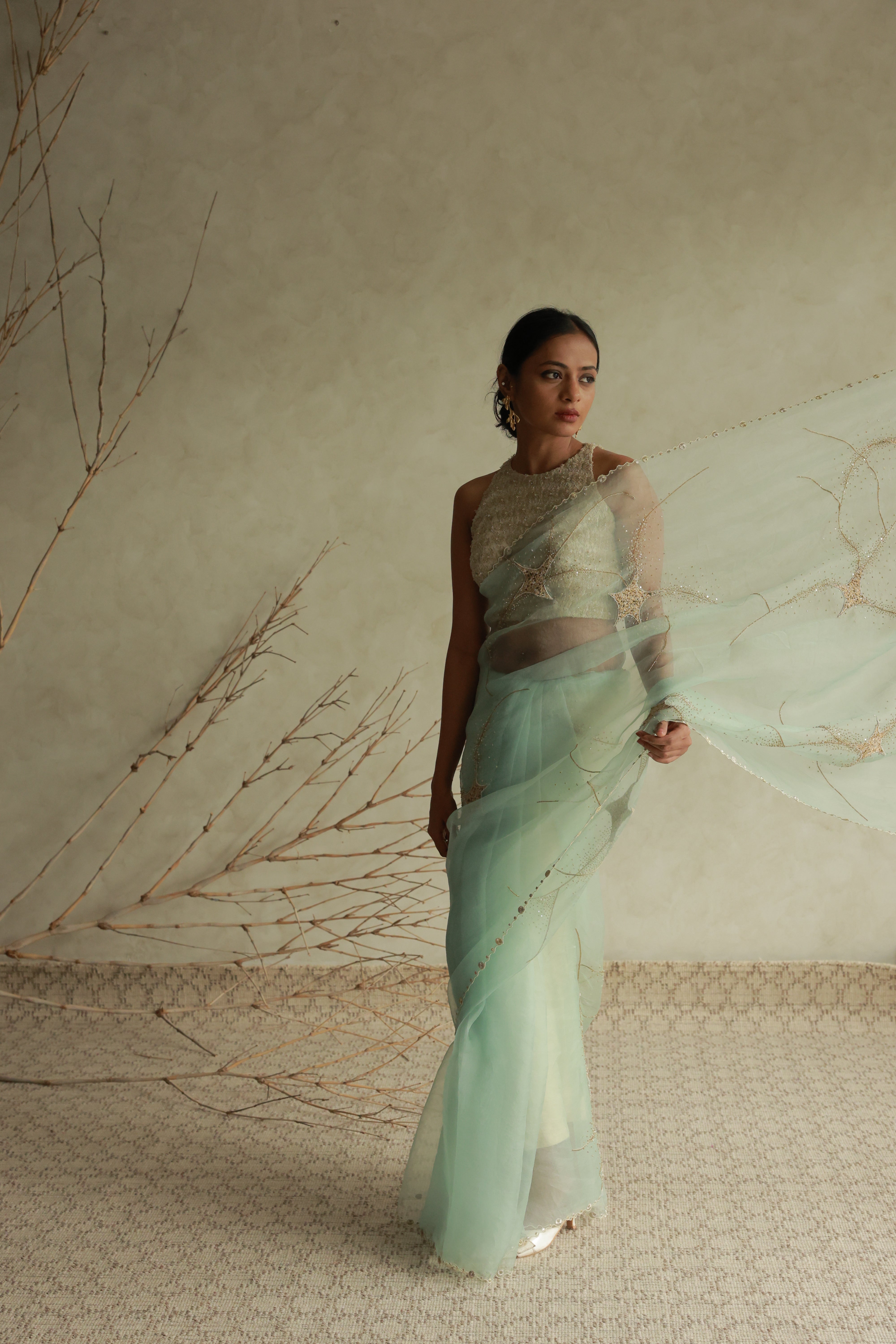 STARDUST SAREE