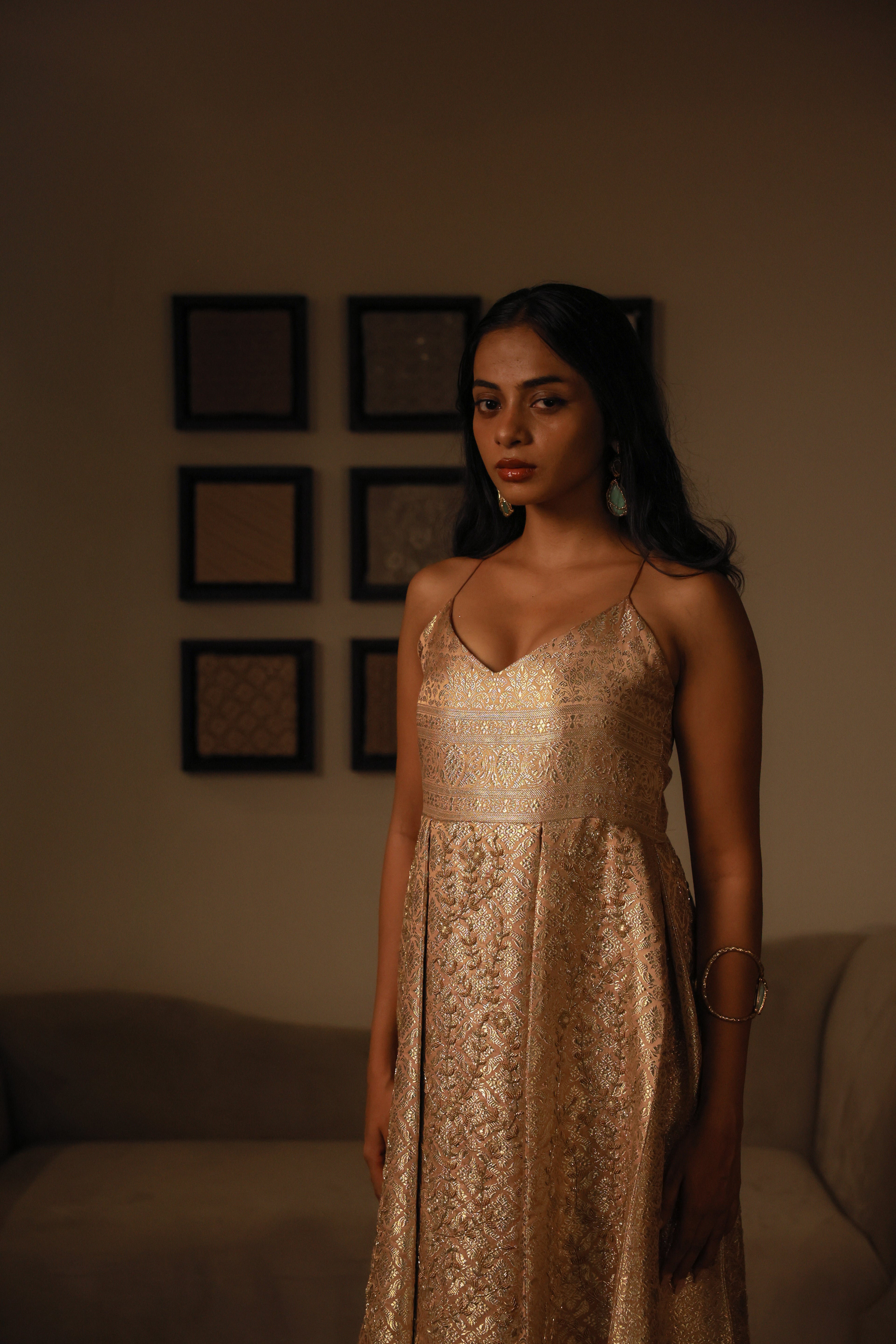 Brocade Embellished Dress