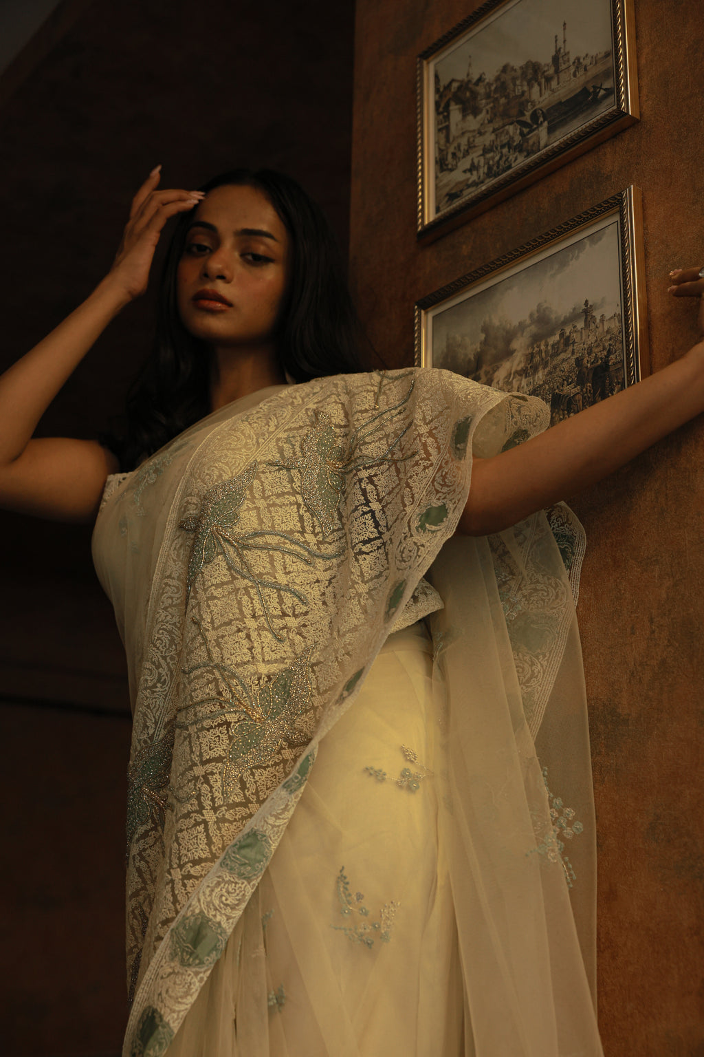 Bird Saree