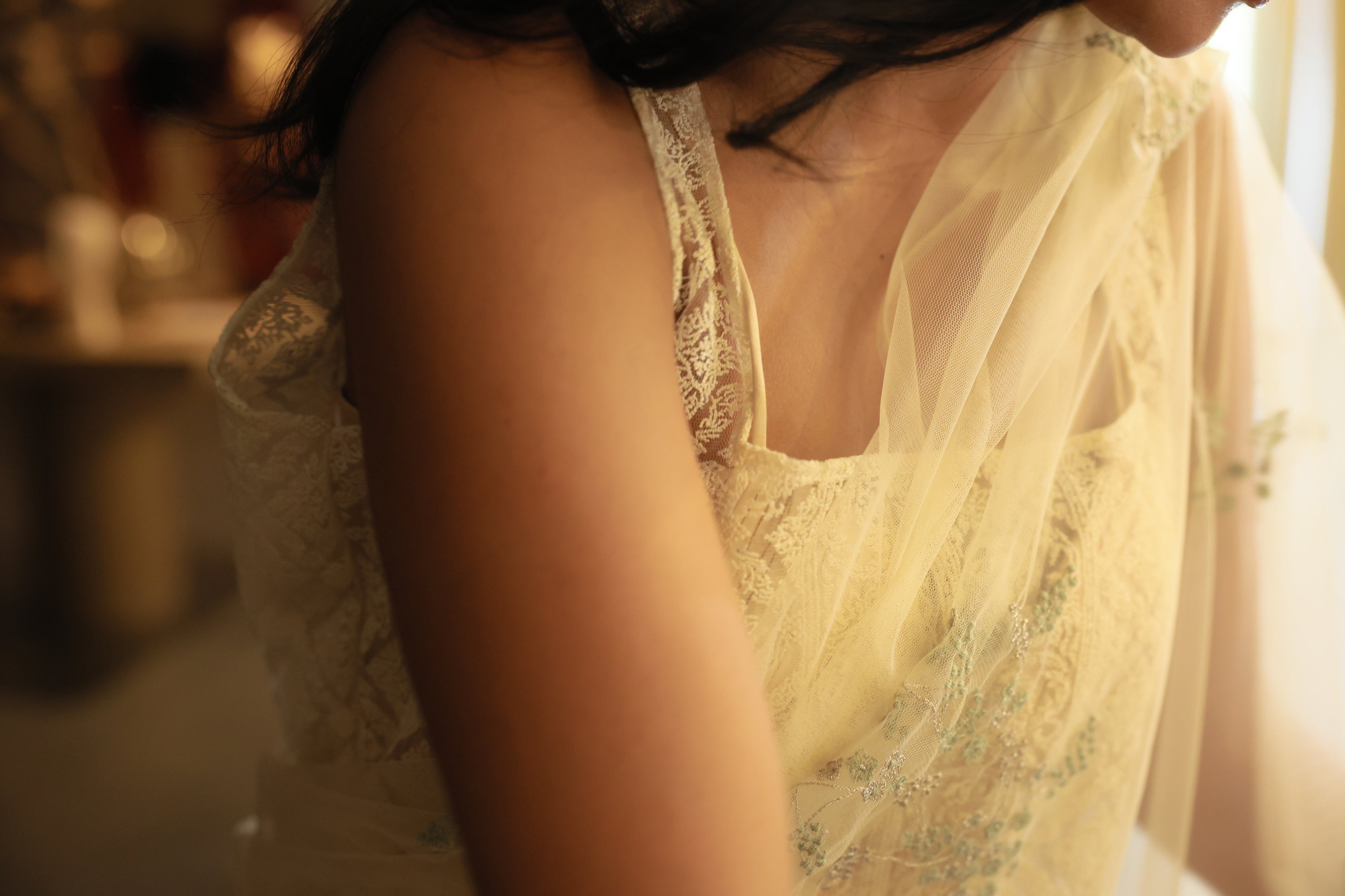 Bird Saree