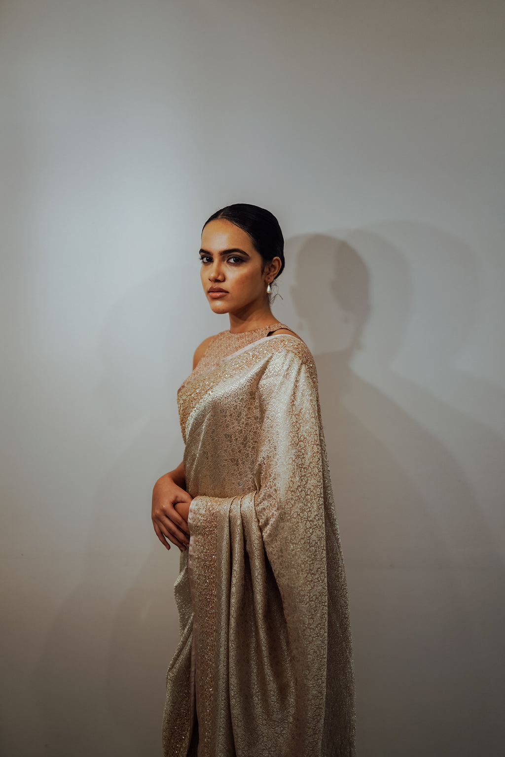 Brocade Saree with Embellished Borders
