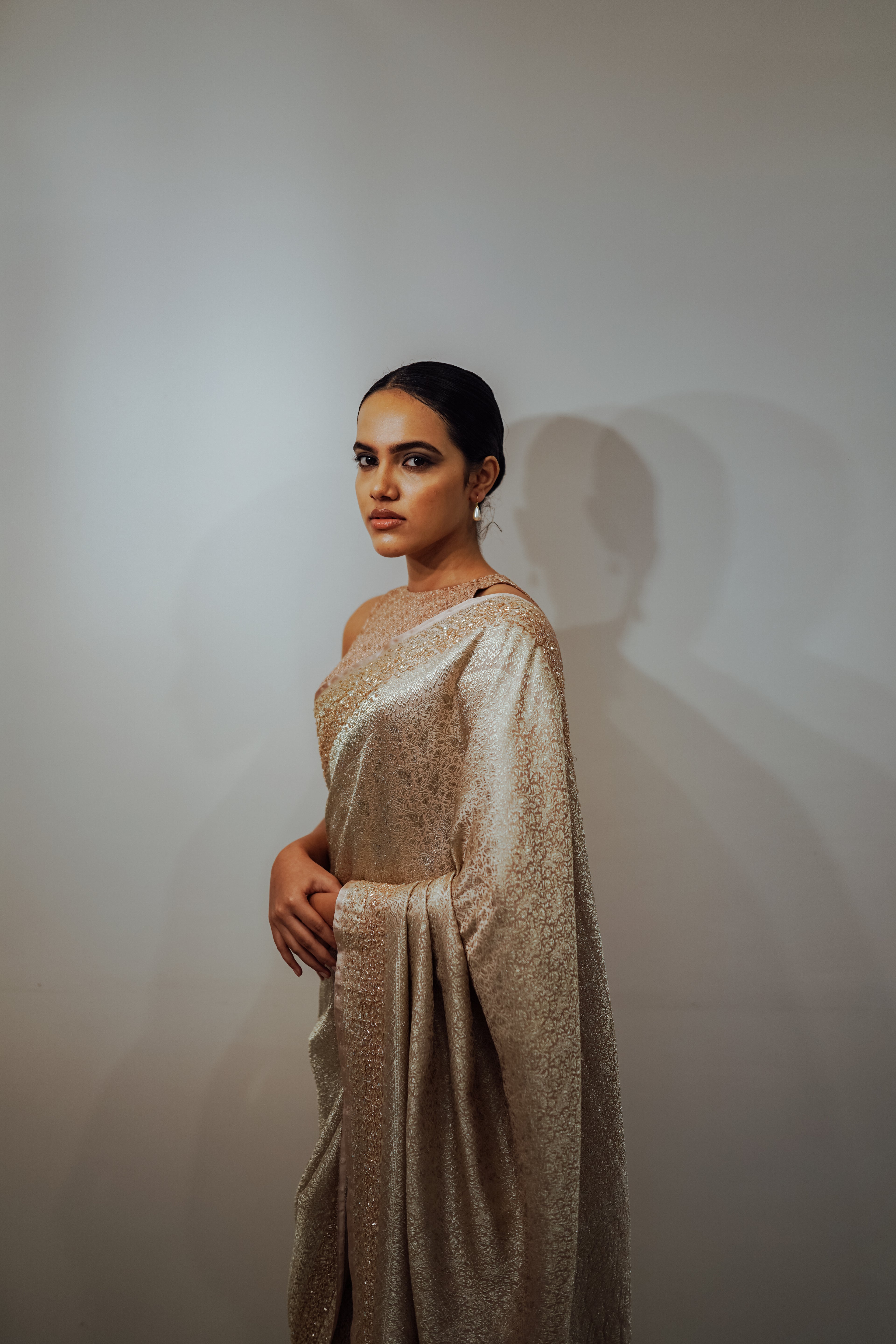 Brocade Saree with Embellished Borders